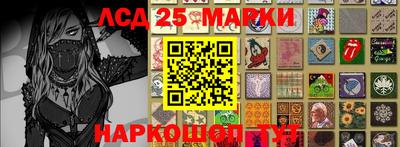 стафф Донецк