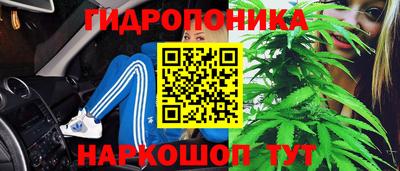 метадон Дубна