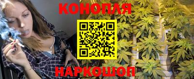 метадон Дубна