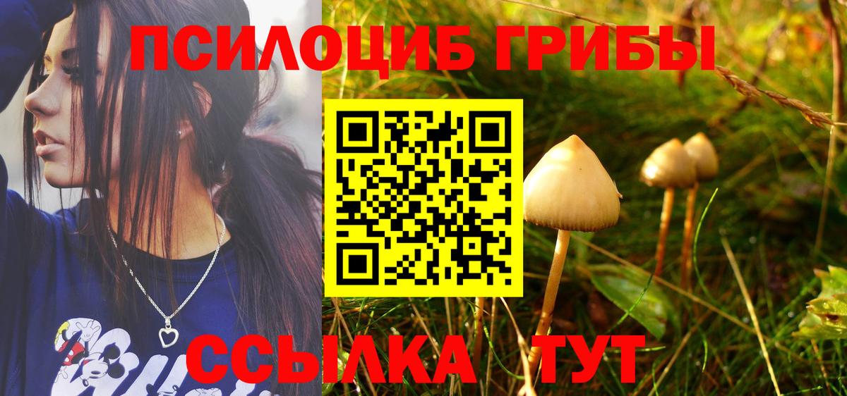 купить закладку  Псилоцибиновые грибы мицелий  Вход с VPN  Новодвинск 